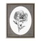 Stupell Industries Anemone Sprig Vignette Floating Frame By Lettered and Lined